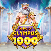 Cổng Olympus 1000 6623b